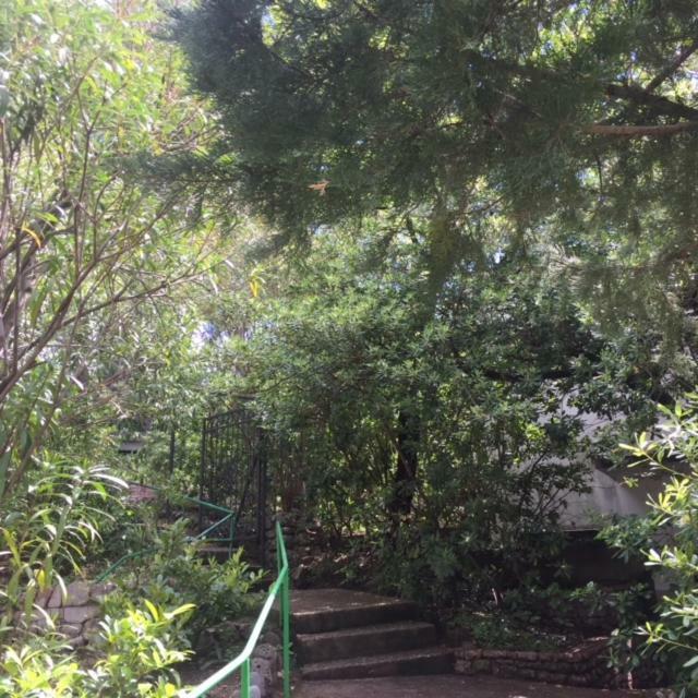 Apartment Botanicheskiy Sad ストモレ エクステリア 写真
